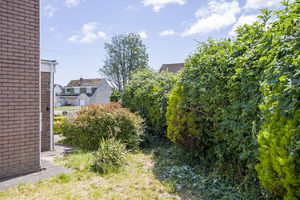 Photo 10- click for photo gallery